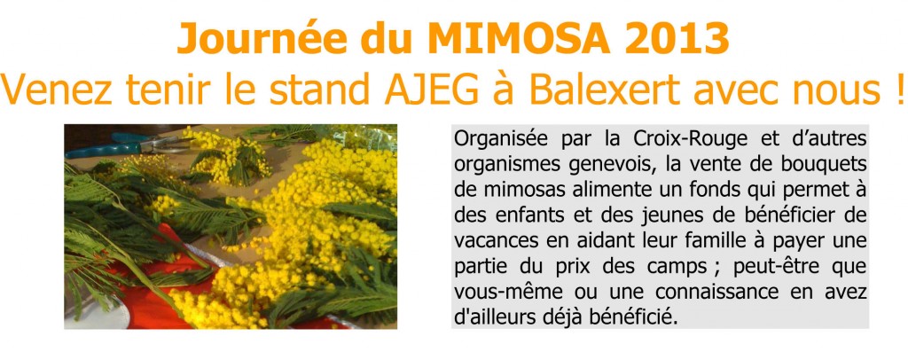 Vente de mimosas organisée par l'AJEG